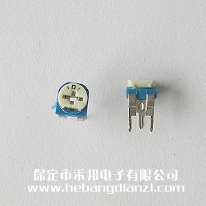 101卧式蓝白(bái)可调(diào)电阻100欧
